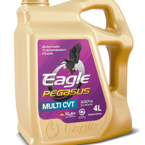 EAGLE PEGASUS MULTI CVT